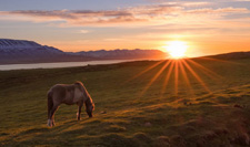 Iceland-Northern Tours-Midnight Sun Ride